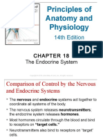Principles of Anatomy and Physiology: The Endocrine System