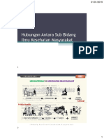 Hubungan Antara Sub Bidang Kesehatan Masyarakat-Meli PDF