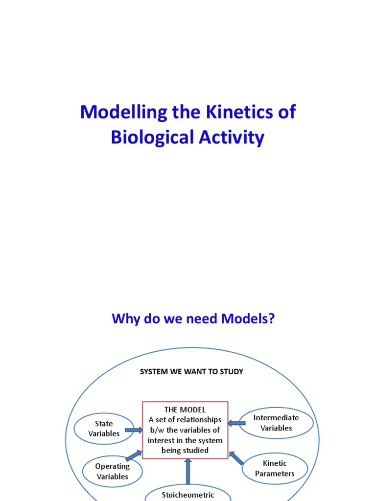Modelling The of Biological Activity PDF Mathematical