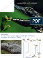 Https://es Scribd com/doc/54515145/Origen-Evolucion-Reptiles