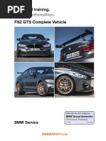 F82 GTS Complete Vehicle.pdf