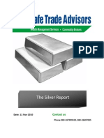 The Silver Report