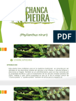 EXPORTACION DE PALTAS EN EL PERU.pptx