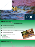 Amphibian Locomotion, Nutrition & Digestive Systems