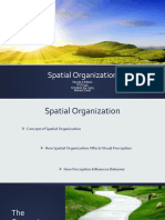 Spatial Organization: Nicole A Masio PSY/345 October 19, 2015 Robert Levit