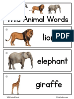 Wild Animal Words
