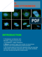 #10 Mitosis KRT Baru