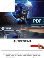 Auto Estim A