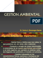 Gestion Ambiental 2