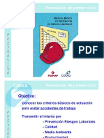 Manual de Prevencion de Riesgos Laborales Cobra.