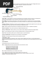 O básico da guitarra