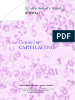 A Conectivo Cartilago PDF