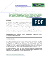 Megaesófago Por Miastenia Gravis Adquirida en Un Bóxer PDF