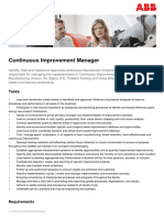 Continuous Improvement Manager: Tasks