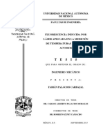 Fluorescencia Inducida Por Laser Palacios Tesis 2015