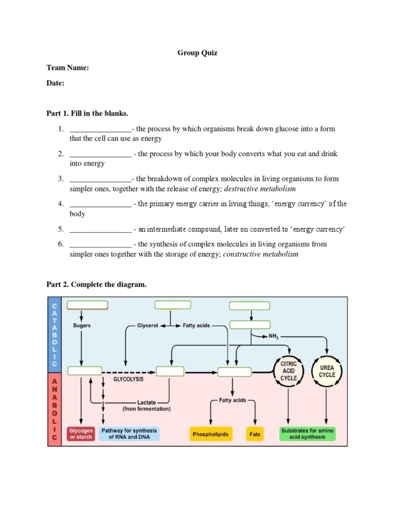 Week 6 Quiz and Homework PDF | PDF | Metabolism | Biochemistry