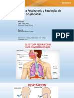 El Sistema Respiratorio