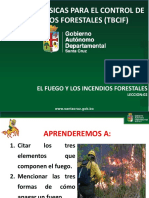 Tbcif 02 El Fuego y Los Incendios Forestales