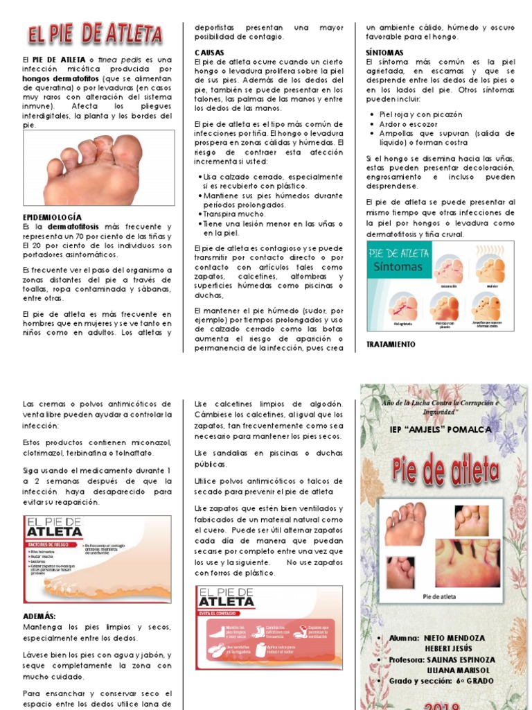 Triptico Pie de Atleta PDF Medicina Veterinaria Microbiología