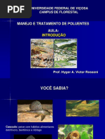 ManejoetratamentodepoluentesIntroducao.ppt