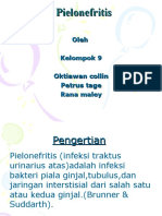 Pielonefritis Akut dan Kronis