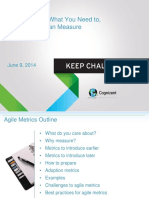 Cognizant Agile Metrics What You Need To Want To and Can Measure