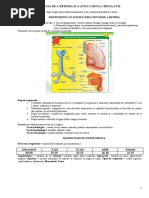 Nevoia de A RESPIRA Si A Avea o Buna CIRCULATIE