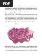 Mitochondria Are Unusual Organelles