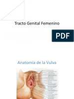 Tracto Genital Femenino 