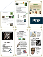 Pamphlet - Science Vertebrates - Invertebrates