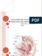 Anatomia Del Aparato Reproductivo