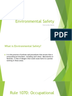 Environmental Safety: Patricia Ann Robles