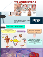 Diabetes Mellitus Tipo I