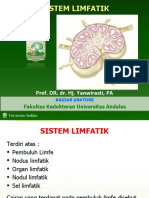 sistem-limfatik