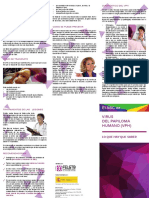 Triptico Sobre El VPH PDF