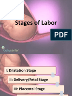 Stages of Labor