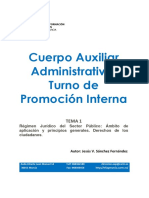 117864-Tema 1-C.Aux.Administrativo-Conv-2016.pdf