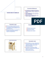 Excrecion BW 2011 PDF