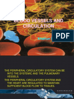 Blood Vessels and Circulation: Functions, Structure, and Physiology