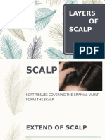 Layers of Scalp