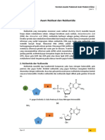 Metabolisme Asam Nukleat Kikayz