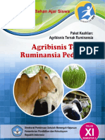 Agribisnis  Ruminansia Pedaging 1.pdf