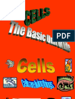 Cells The Basic Unit of Life