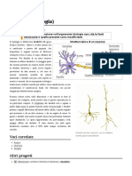 Dendrite (Biologia)