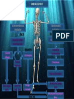 Pawar Bone Development