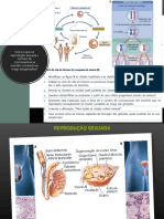 Meiose 2018 19