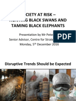 Society at Risk - Hunting Black Swans and Taming Black Elephants
