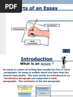 Essay
