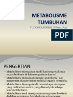 Metabolisme Tumbuhan