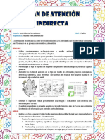 Plan de Atención Indirecta Jose Gilberto Fierro